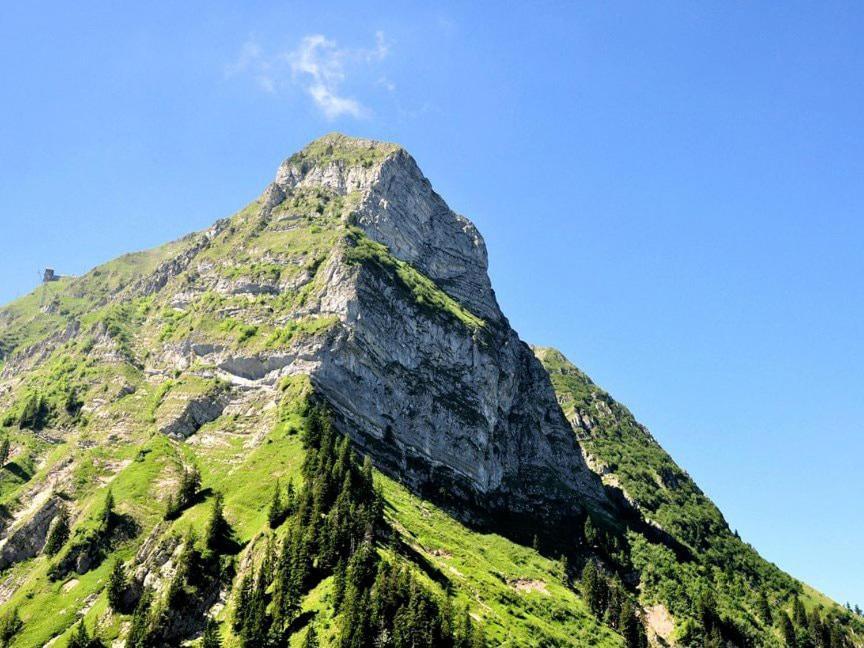 Joli Studio Au Pied Du Moleson Gruyeres Exteriér fotografie